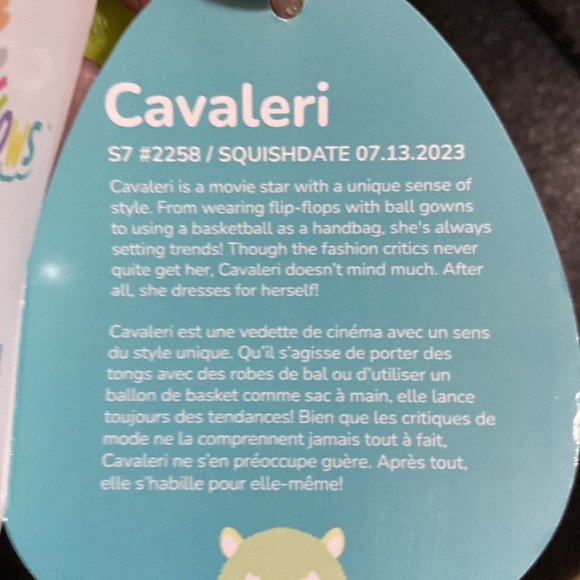 Squishmallows Cavaleri the alpaca - Picture 4 of 4